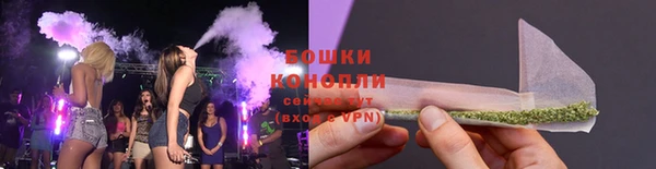 дмт Белокуриха