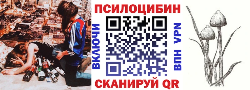 продажа наркотиков  Красноярск  Псилоцибиновые грибы MAGIC MUSHROOMS 